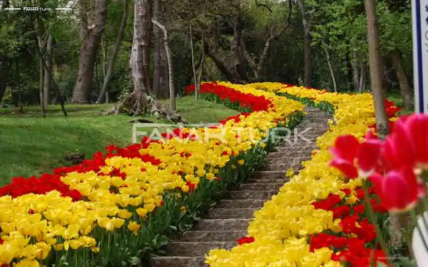 أشهر 10 حدائق في تركيا